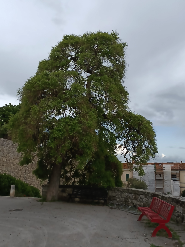 Castiglione del Lago