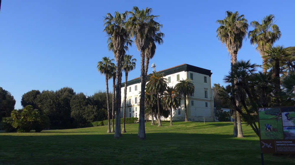 Capodimonte